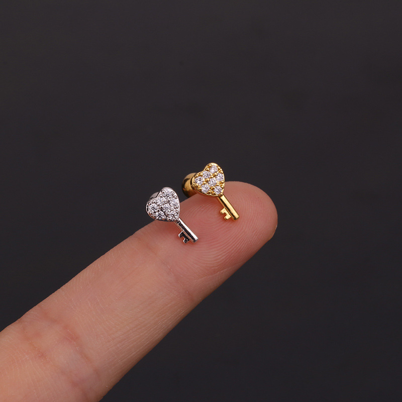 أقراط من الفولاذ المقاوم للصدأ - مراجعة Body Jewelry Surgical Steel وسعره