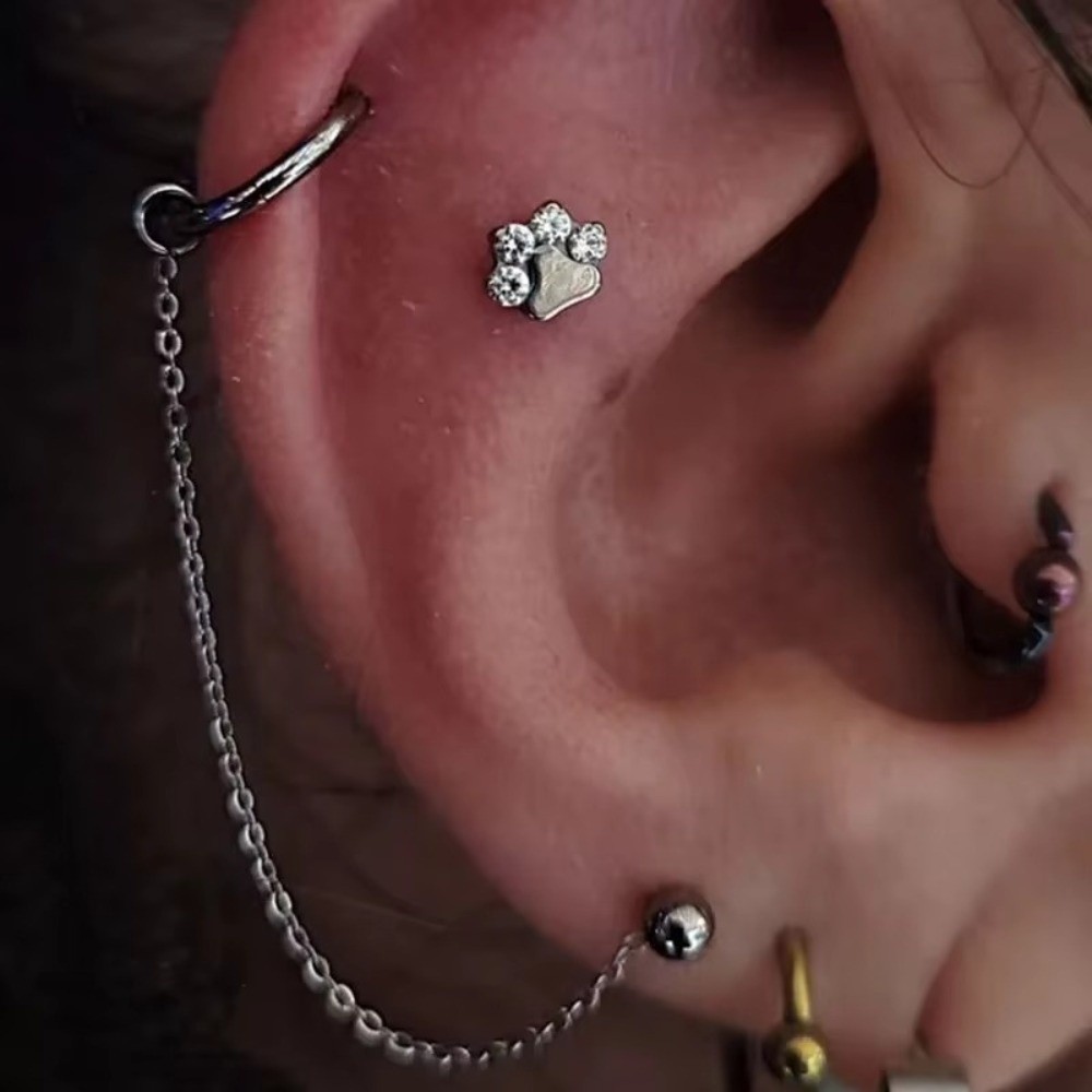 سلسلة أنف من التيتانيوم ثلاثية - مراجعة Body Jewelry Ear Piercing وسعره