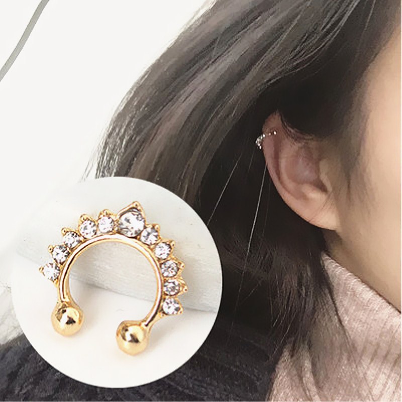 حلقات الأنف المزيفة على شكل حر - مراجعة Body Jewelry Ear Piercing وسعره