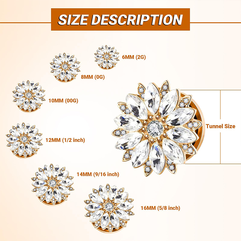 سدادات وأقراط الأذن من الفولاذ - مراجعة Body Jewelry Ear Piercing وسعره