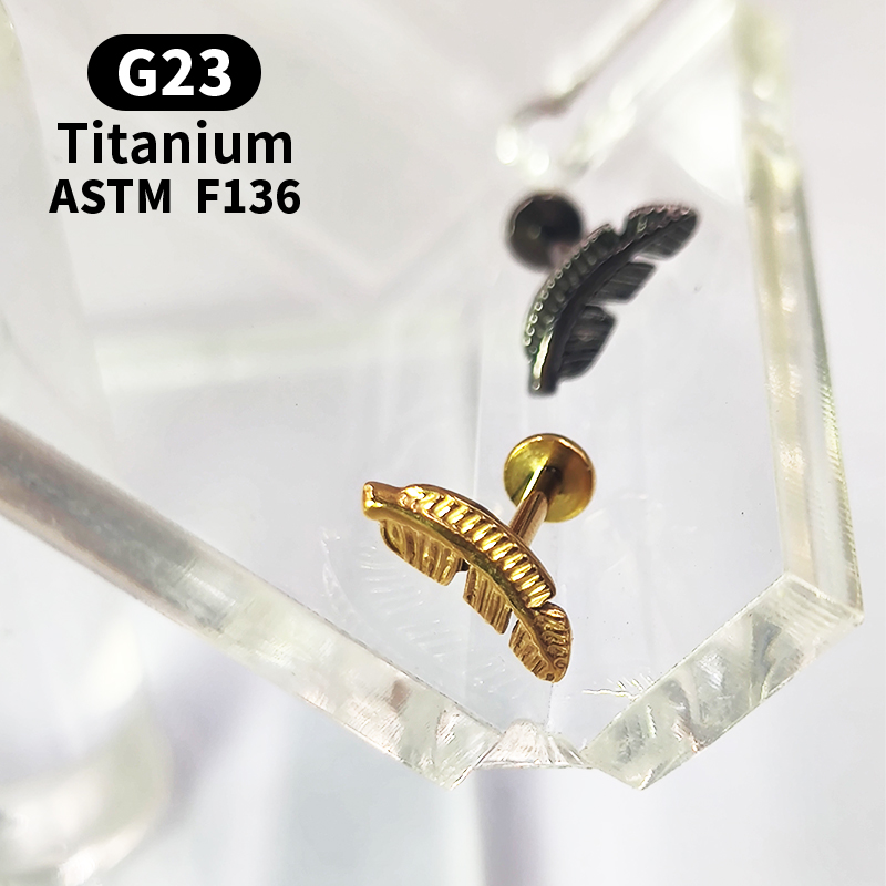 التيتانيوم G23 Labret الزنمة ا - مراجعة Body Jewelry Surgical Steel وسعره